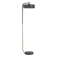 Lampa podłogowa Aaron - 1 źródło światła - Czarny