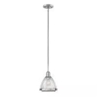 Lampa wisząca Elroy - 1 źródło światła - Polerowany nikiel