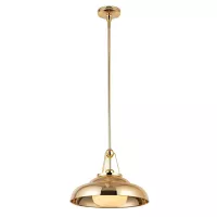 Lampa wisząca Palmetto - 1 źródło światła - Polerowany mosiądz