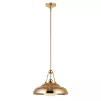 Lampa wisząca Palmetto - 1 źródło światła - Polerowany mosiądz