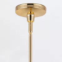 Lampa wisząca Palmetto - 1 źródło światła - Polerowany mosiądz