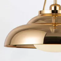 Lampa wisząca Palmetto - 1 źródło światła - Polerowany mosiądz