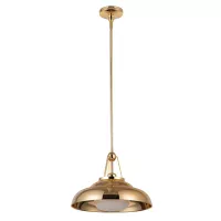 Lampa wisząca Palmetto - 1 źródło światła - Polerowany mosiądz